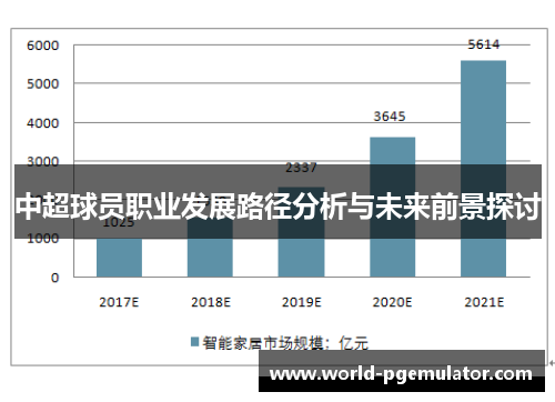 中超球员职业发展路径分析与未来前景探讨