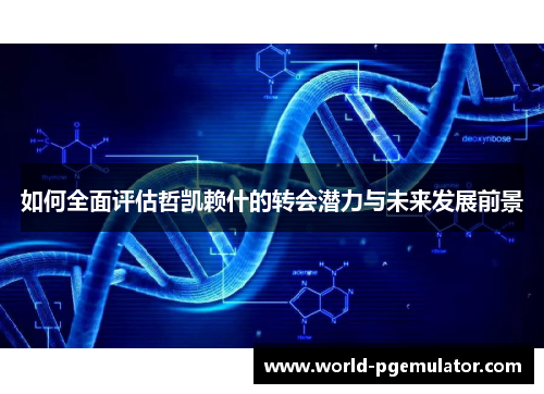 如何全面评估哲凯赖什的转会潜力与未来发展前景