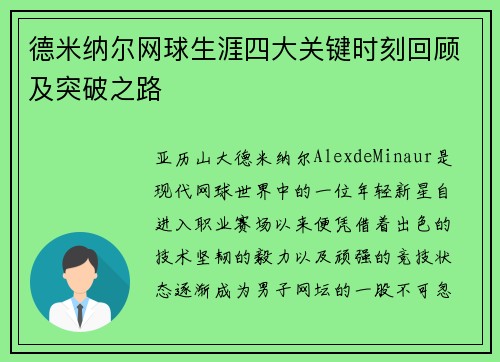 德米纳尔网球生涯四大关键时刻回顾及突破之路