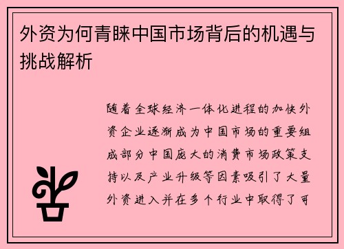 外资为何青睐中国市场背后的机遇与挑战解析
