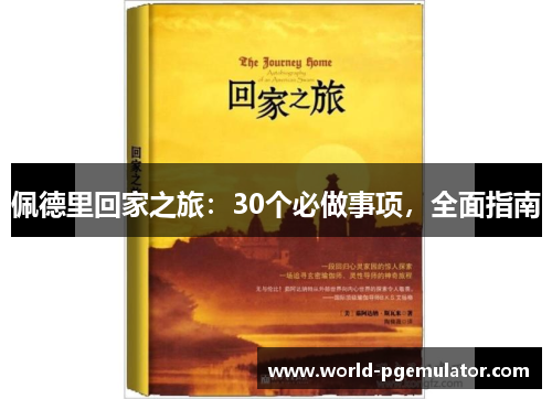 佩德里回家之旅：30个必做事项，全面指南