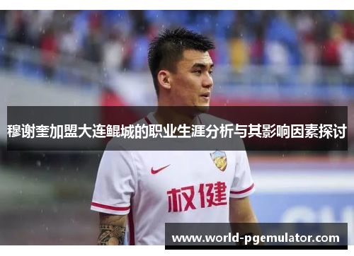 穆谢奎加盟大连鲲城的职业生涯分析与其影响因素探讨