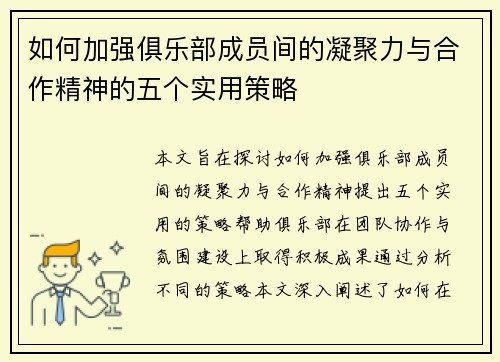 如何加强俱乐部成员间的凝聚力与合作精神的五个实用策略